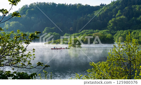 白川湖被淹沒的森林 125980376