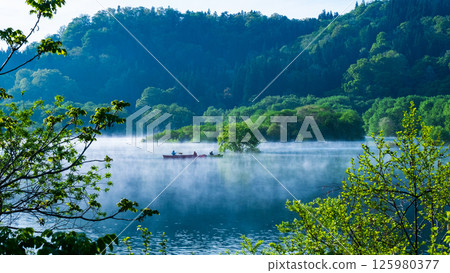 白川湖被淹沒的森林 125980377