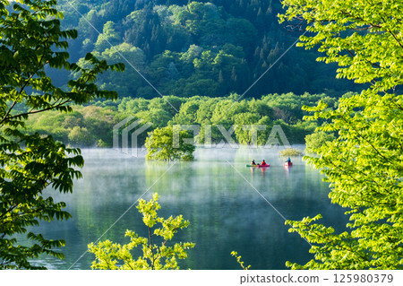 Submerged forest of Shirakawa lake Submerged forest of Shirakawa lake 125980379