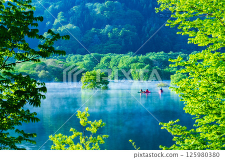 白川湖被淹沒的森林 125980380