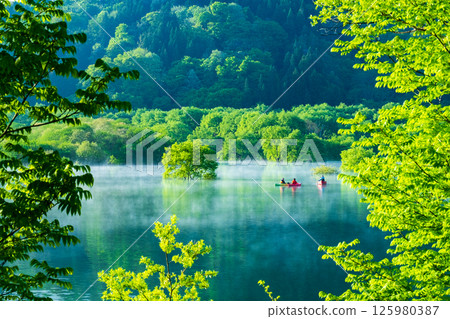 Submerged forest of Shirakawa lake 125980387