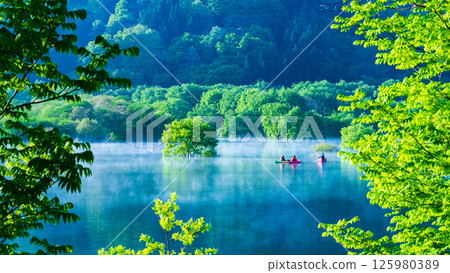 Submerged forest of Shirakawa lake Submerged forest of Shirakawa lake 125980389