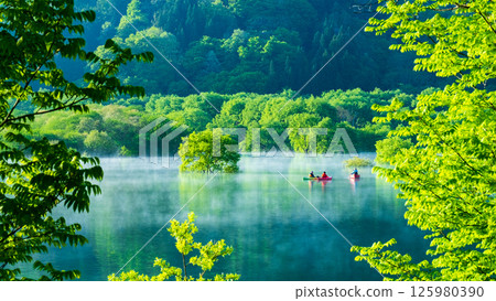 Submerged forest of Shirakawa lake 125980390