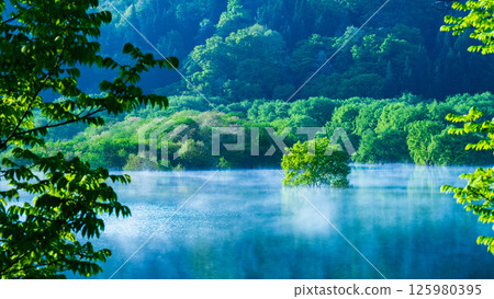 Submerged forest of Shirakawa lake 125980395