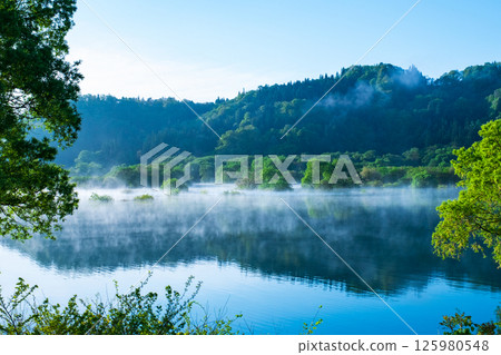Submerged forest of Shirakawa lake 125980548