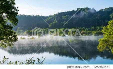 白川湖被淹沒的森林 125980550