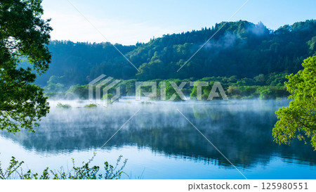 白川湖被淹沒的森林 125980551