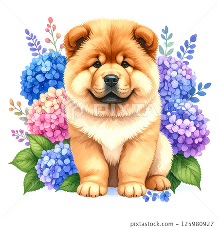Illustration of hydrangea flowers and a chow chow puppy 3 / Material for flyers and posters 125980927