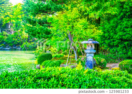 兼六園內有新綠鬼神燈籠 兼六園內有新綠鬼神燈籠 125981233