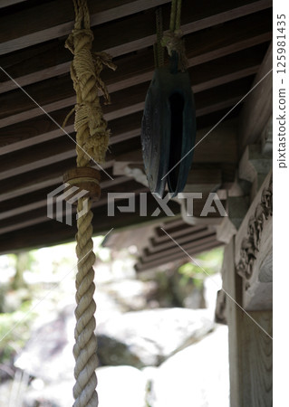 鱷魚鈴 鱷魚鈴 125981435