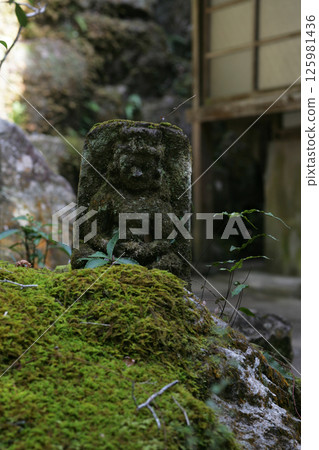 青苔生長石佛 青苔生長石佛 125981436