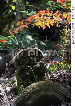 Moss growing stone Buddha 125981439
