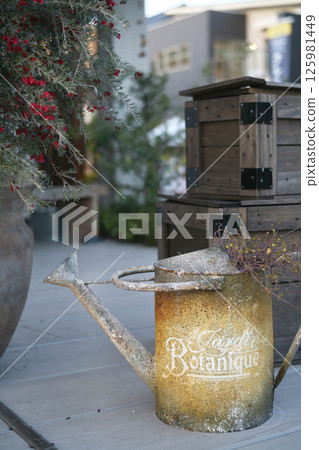 Old watering can ornament Old watering can ornament 125981449