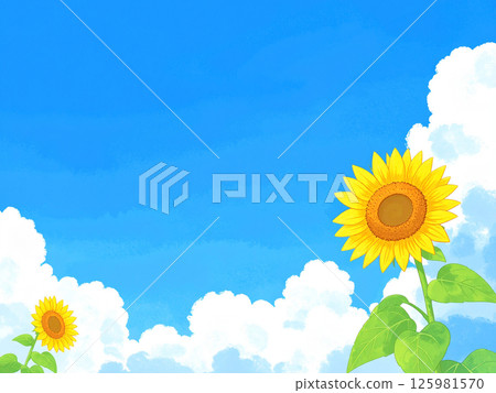 Sunflower and blue sky Sunflower and blue sky 125981570