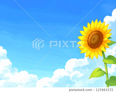 Sunflower and blue sky 125981572
