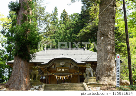 秋田縣湯澤市的岩崎八幡神社有巨大的雪松和冷杉歡迎您的到來。 125981634