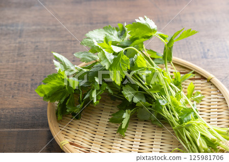 三片葉子 125981706