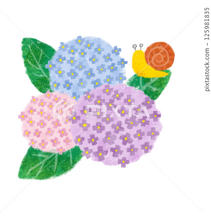 Three colorful hydrangeas with crayon touches and a snail 125981835