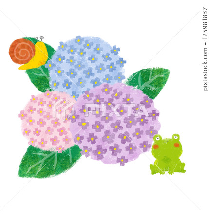 Three colorful hydrangeas with crayon touches, a frog and a snail 125981837