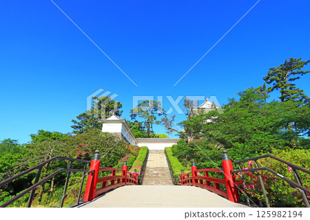 Scenery of Odawara Castle Park, Odawara City, Kanagawa Prefecture Scenery of Odawara Castle Park, Odawara City, Kanagawa Prefecture 125982194