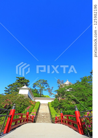 Scenery of Odawara Castle Park, Odawara City, Kanagawa Prefecture Scenery of Odawara Castle Park, Odawara City, Kanagawa Prefecture 125982196