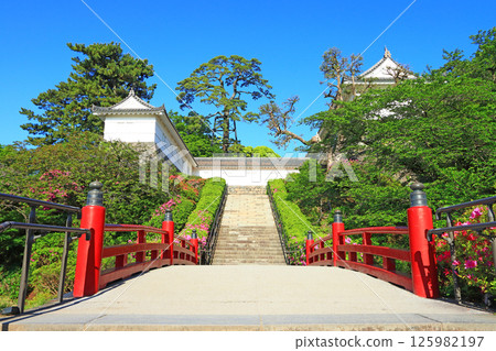 Scenery of Odawara Castle Park, Odawara City, Kanagawa Prefecture Scenery of Odawara Castle Park, Odawara City, Kanagawa Prefecture 125982197