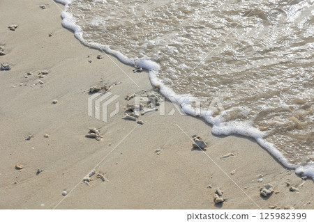 Okinawa's white sand beach @ 21st Century Forest Beach 125982399