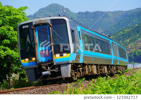 2000 series Shimanto heading to Nakamura 125982717