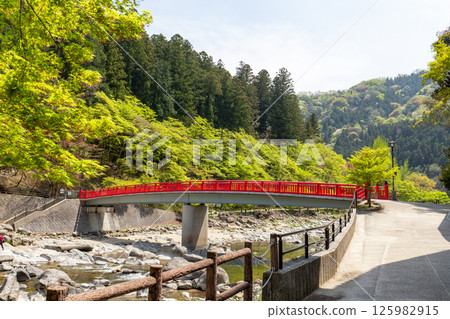 Fresh green of Konami River Fresh green of Konami River 125982915