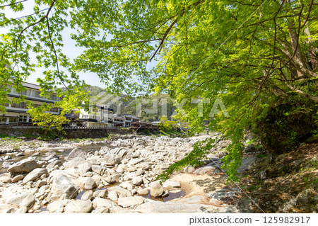 Konami河新綠色 125982917