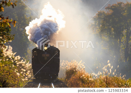 秋日的只見路上，一輛蒸氣機車在陽光的照耀下悠閒地行駛著。 125983334