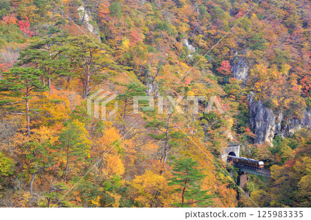 A Rikuu East Line diesel train slowly moves through the autumn leaves of Naruko Gorge. 125983335