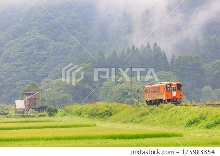 秋田內陸線在清晨的霧氣中沿著戶澤堤岸行駛。 125983354