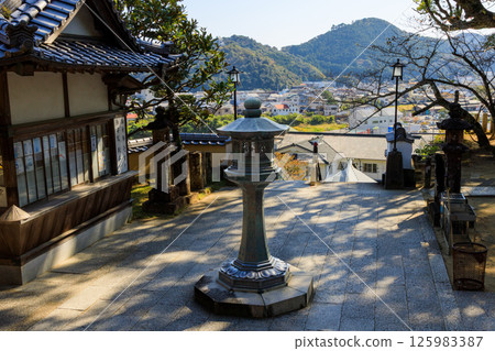 View of the Hiwasa townscape from the grounds of Yakuoji Temple, the 23rd temple on the Shikoku Pilgrimage View of the Hiwasa townscape from the grounds of Yakuoji Temple, the 23rd temple on the Shikoku Pilgrimage 125983387