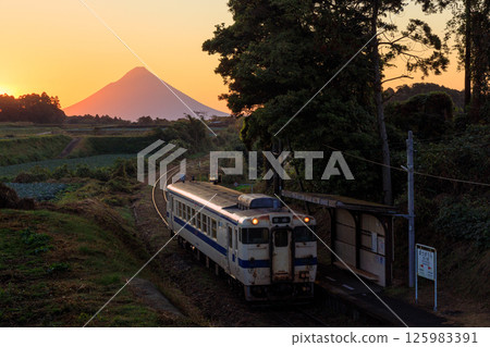 A diesel train on the Ibusuki Makurazaki Line entering Matsugaura Station with Mount Kaimon at sunrise in the background 125983391