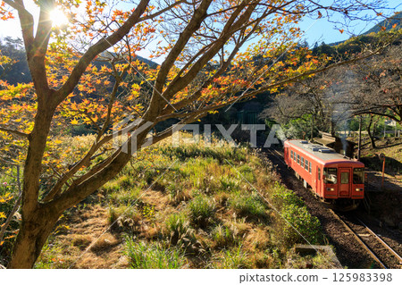 深秋朝陽照耀下的日向站清晨景色 125983398