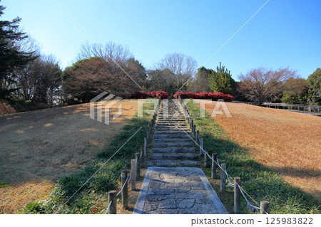 冬季公園：南天竹的秋葉 125983822