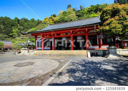 Cosmic energy pours down to protect the capital of Kyoto from evil spirits... Kurama Temple's "Main Hall and Kondo" 125983839