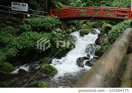 Red bridge shines in fresh green 125984575