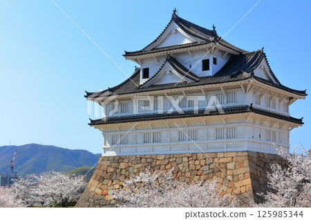 [Hiroshima Prefecture] Fukuyama Castle in spring with cherry blossoms (after reconstruction) Fukuyama Castle Cherry Blossom Festival 125985344