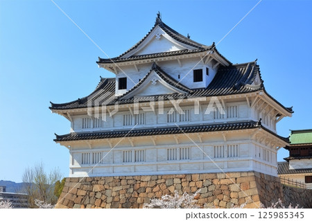 [Hiroshima Prefecture] Fukuyama Castle in spring with cherry blossoms (after reconstruction) Fukuyama Castle Cherry Blossom Festival 125985345