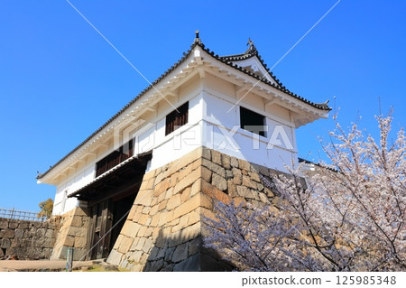 [Hiroshima Prefecture] Fukuyama Castle in spring with cherry blossoms (after reconstruction) Fukuyama Castle Cherry Blossom Festival 125985348