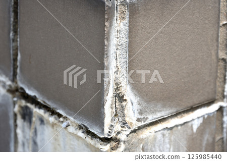 Efflorescence on entrance tiles Efflorescence on entrance tiles 125985440