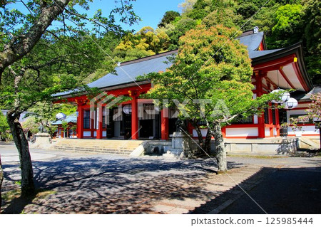Cosmic energy pours down to protect the capital of Kyoto from evil spirits... Kurama Temple's "Main Hall" Cosmic energy pours down to protect the capital of Kyoto from evil spirits... Kurama Temple's "Main Hall" 125985444