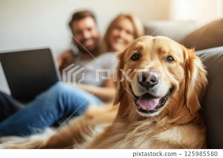 Happy golden retriever relaxing on couch with a couple during a cozy afternoon at home 125985580