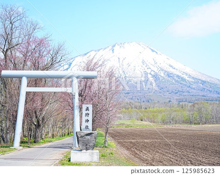 北海道風景 春天的真得神社 殘雪的羊蹄山 125985623