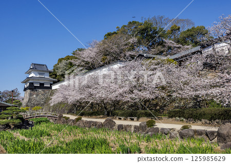 串島城遺址的藍天和櫻花 125985629