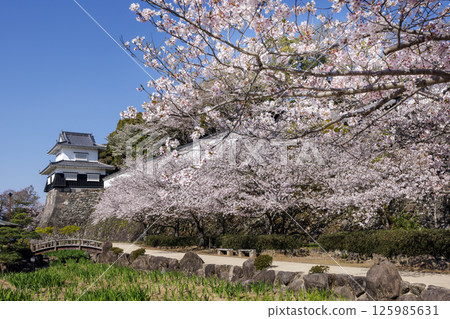 串島城遺址的藍天和櫻花 125985631