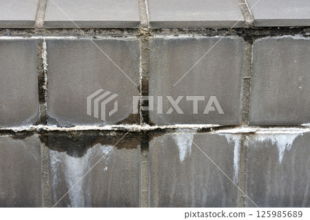 Efflorescence on entrance tiles 125985689