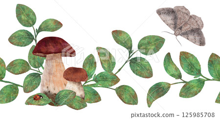 Seamless border, edible mushrooms, twigs, leaves, moth, butterfly, ladybug, handmade digital illustration on a white background. 125985708